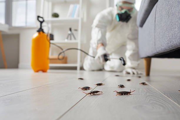 Post-Treatment Bed Bug Interceptor Monitoring in Gravette