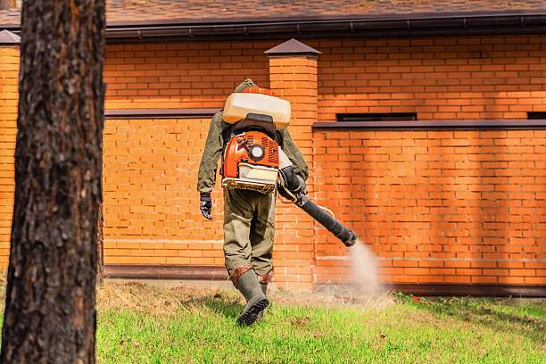 Bed Bug Clearance Verification and Documentation in Gravette